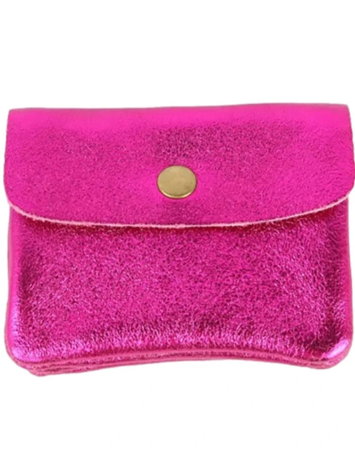 Metallic Coin Purse