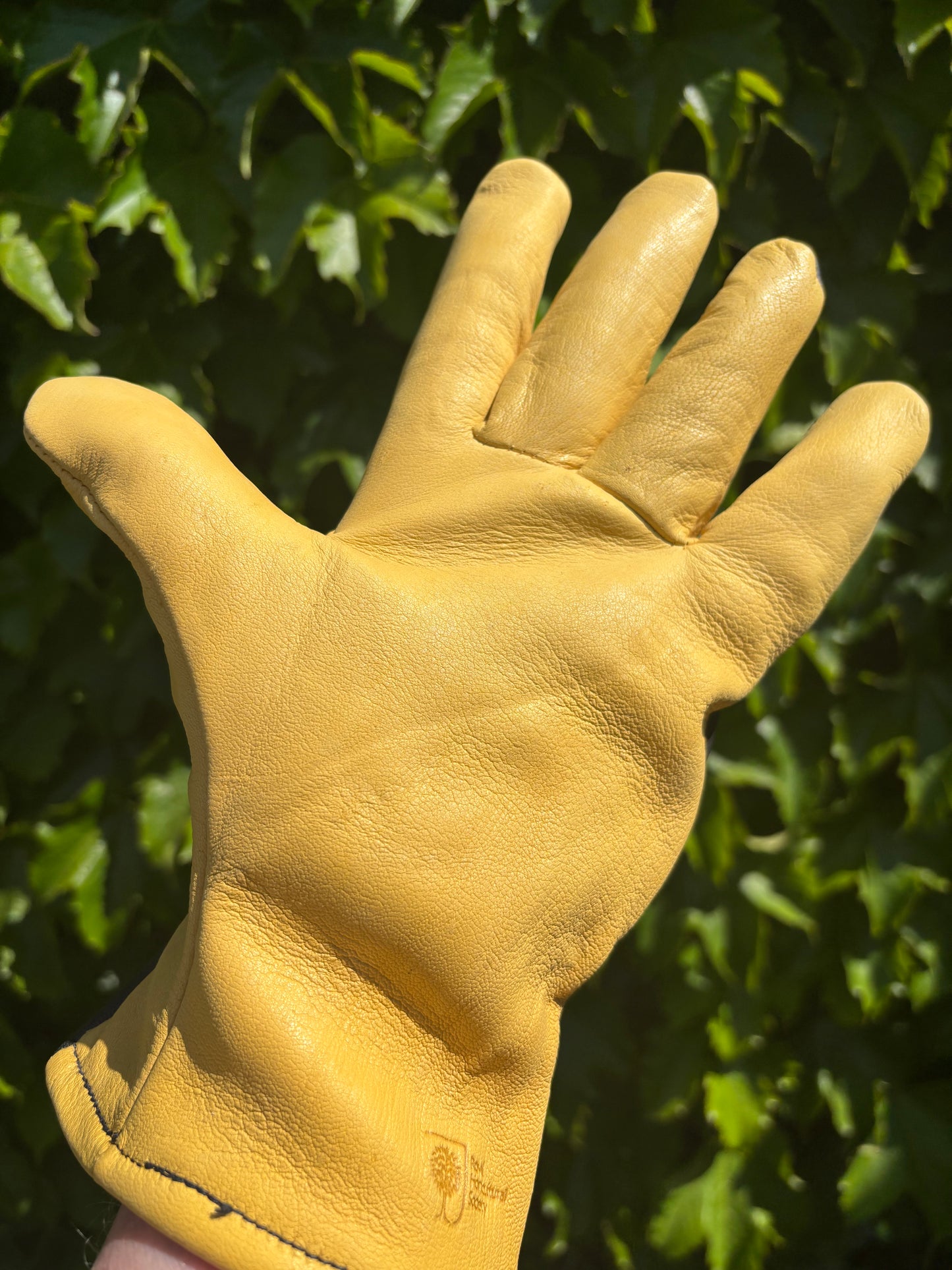 Dry Touch Womens gardening gloves