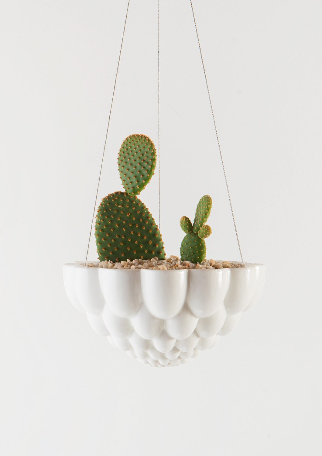 Jelly Mould Hanging Planter