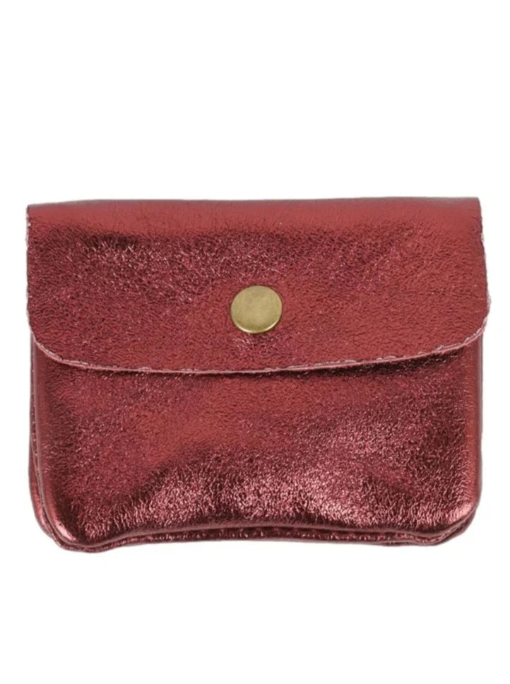 Metallic Coin Purse