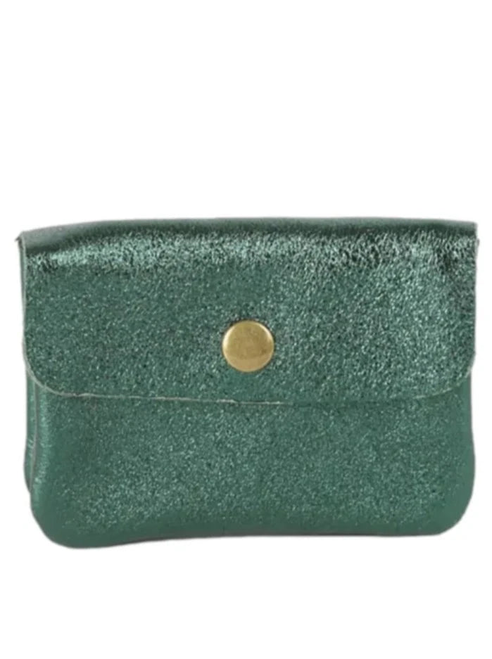 Metallic Coin Purse