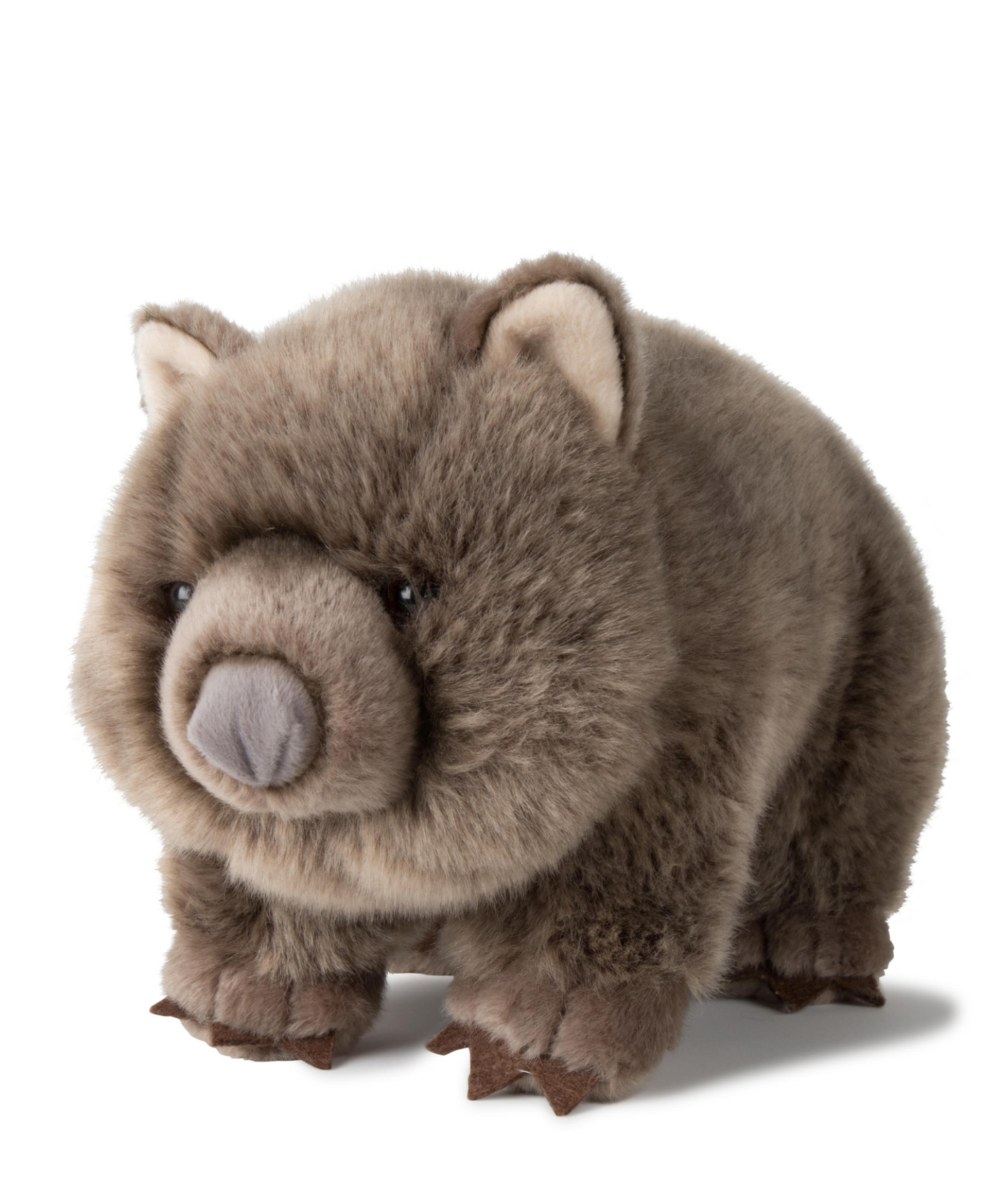 Wombat