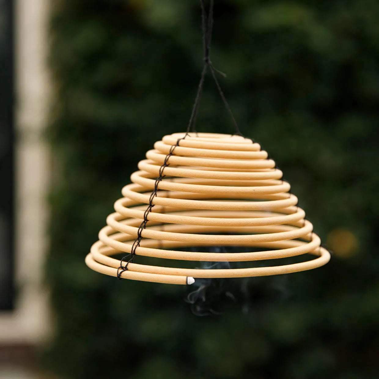 Citronella Hanging Coil S