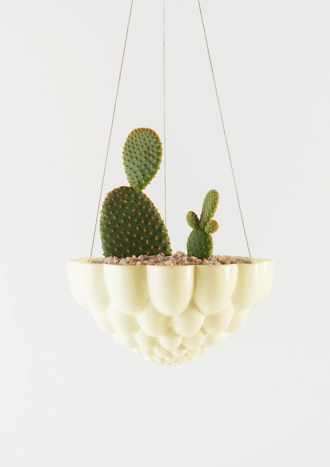 Jelly Mould Hanging Planter
