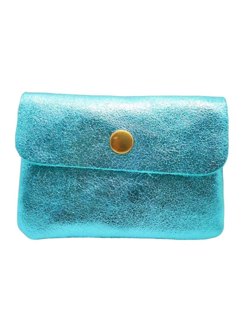 Metallic Coin Purse