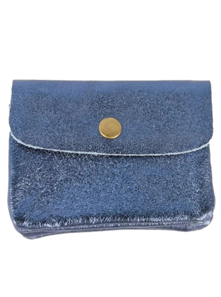 Metallic Coin Purse