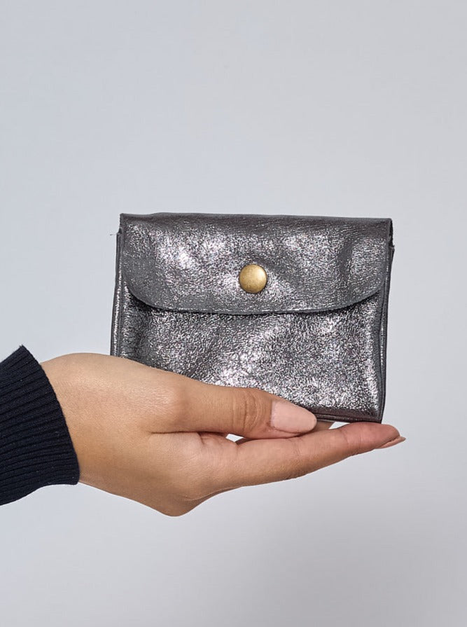 Metallic Coin Purse