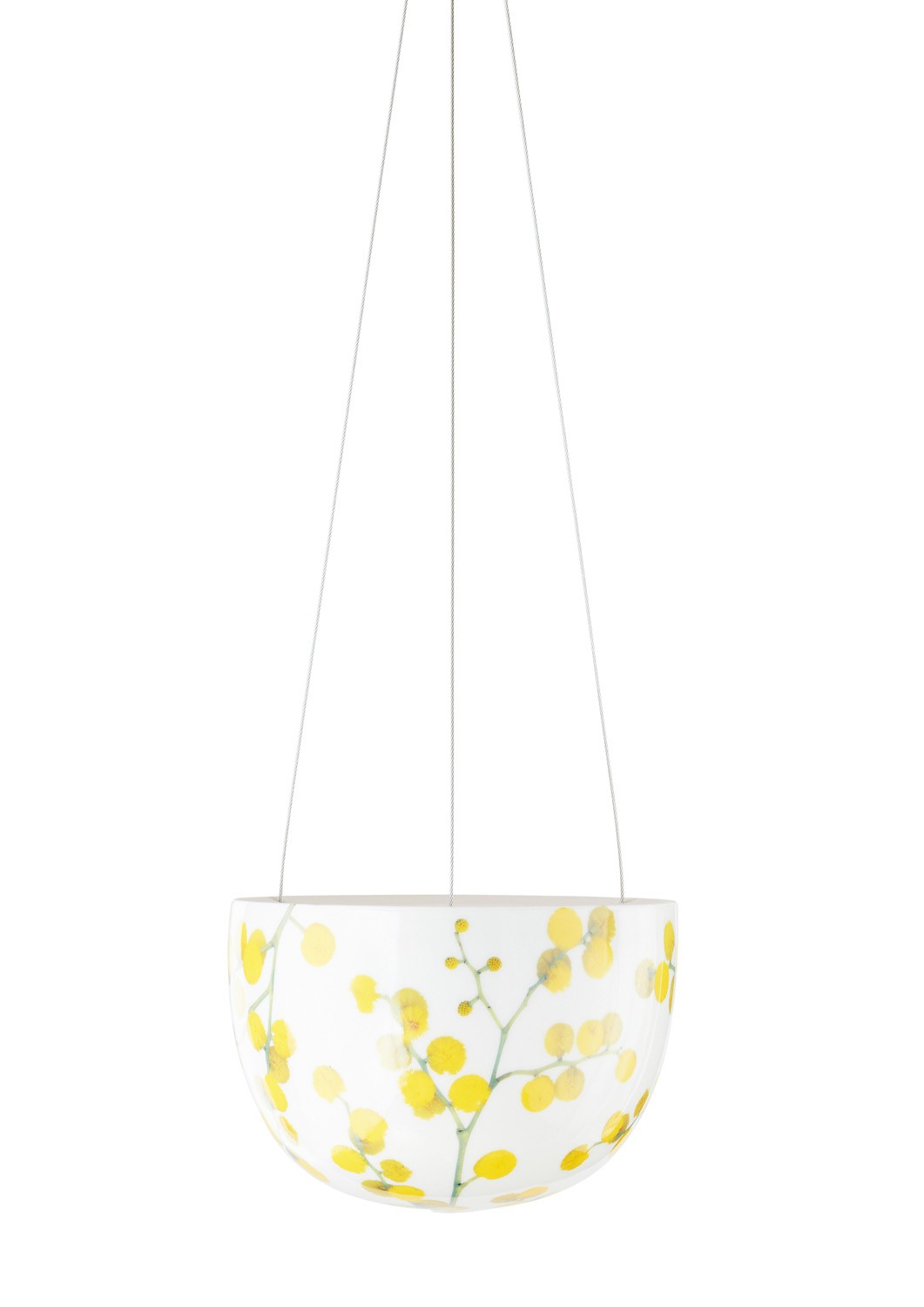 Wattle Blossom Hanging Planter