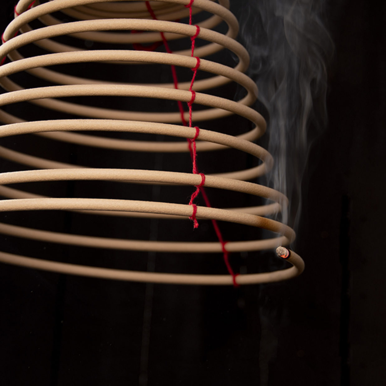 Citronella Hanging Coil L