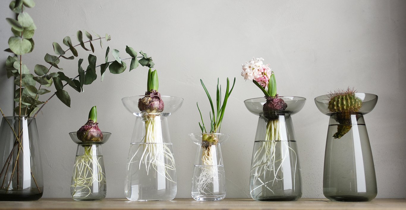 Aqua Culture Vase | Large