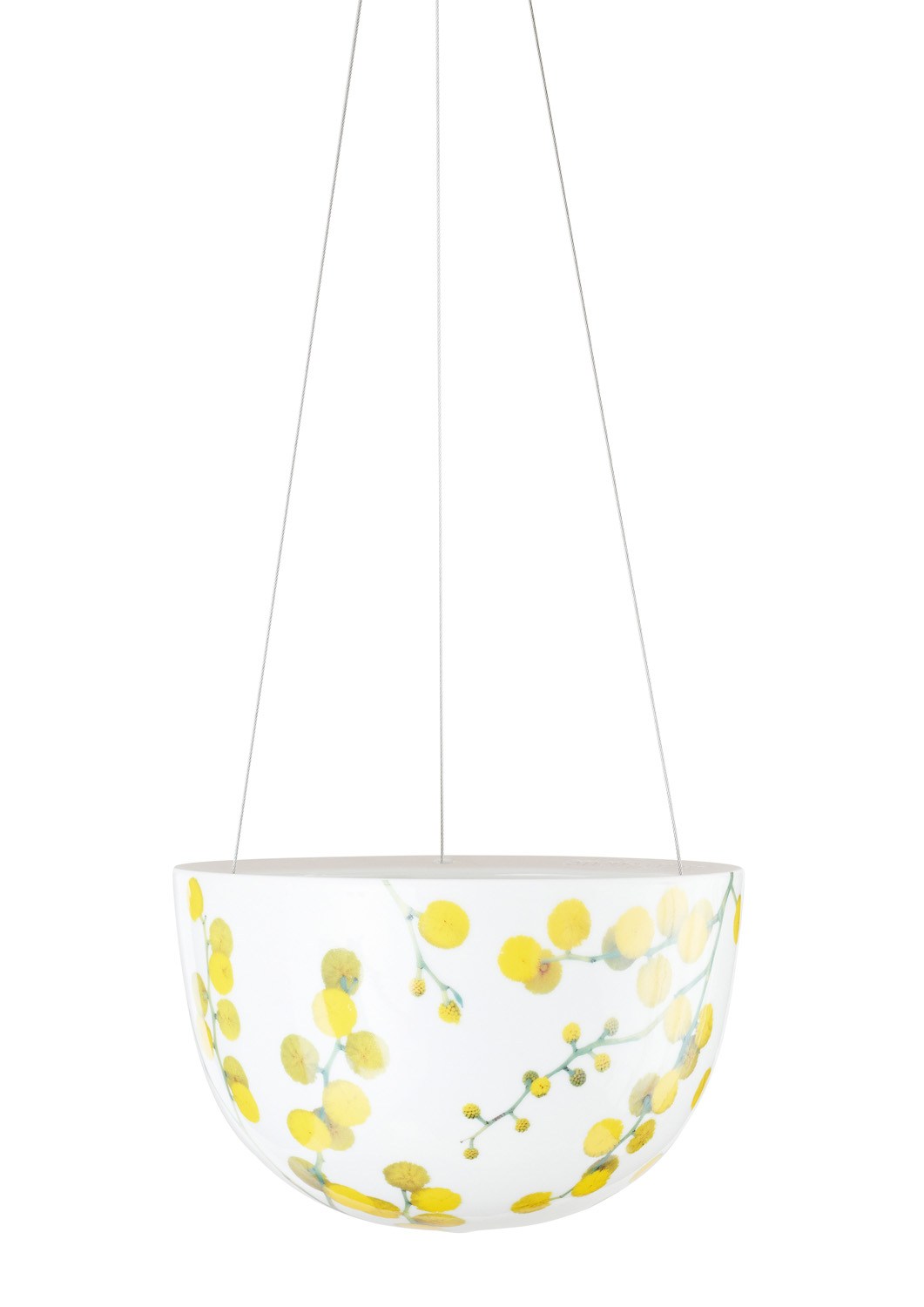 Wattle Blossom Hanging Planter