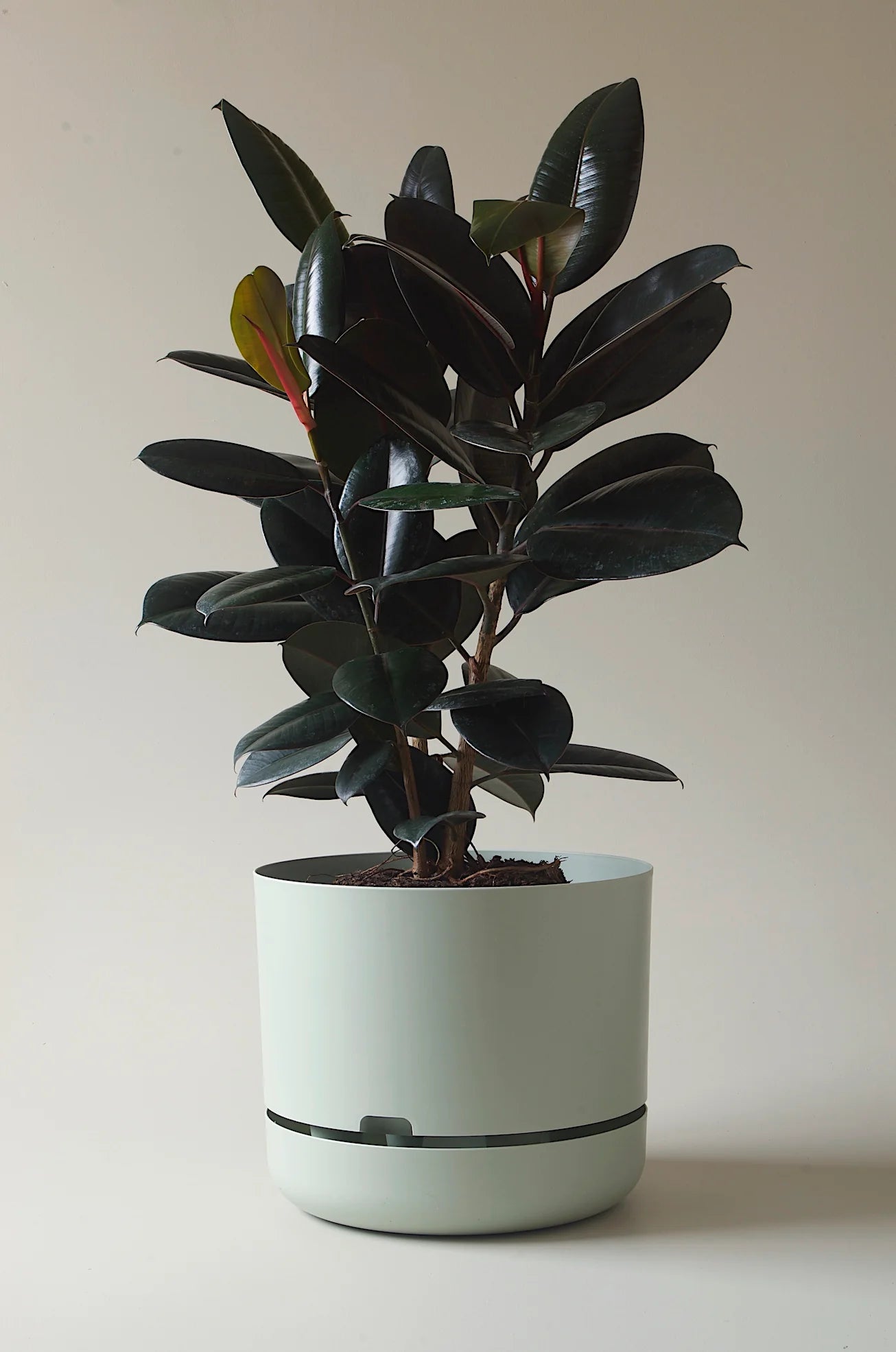 Self-Watering Pot | 375mm - Click & Collect Only