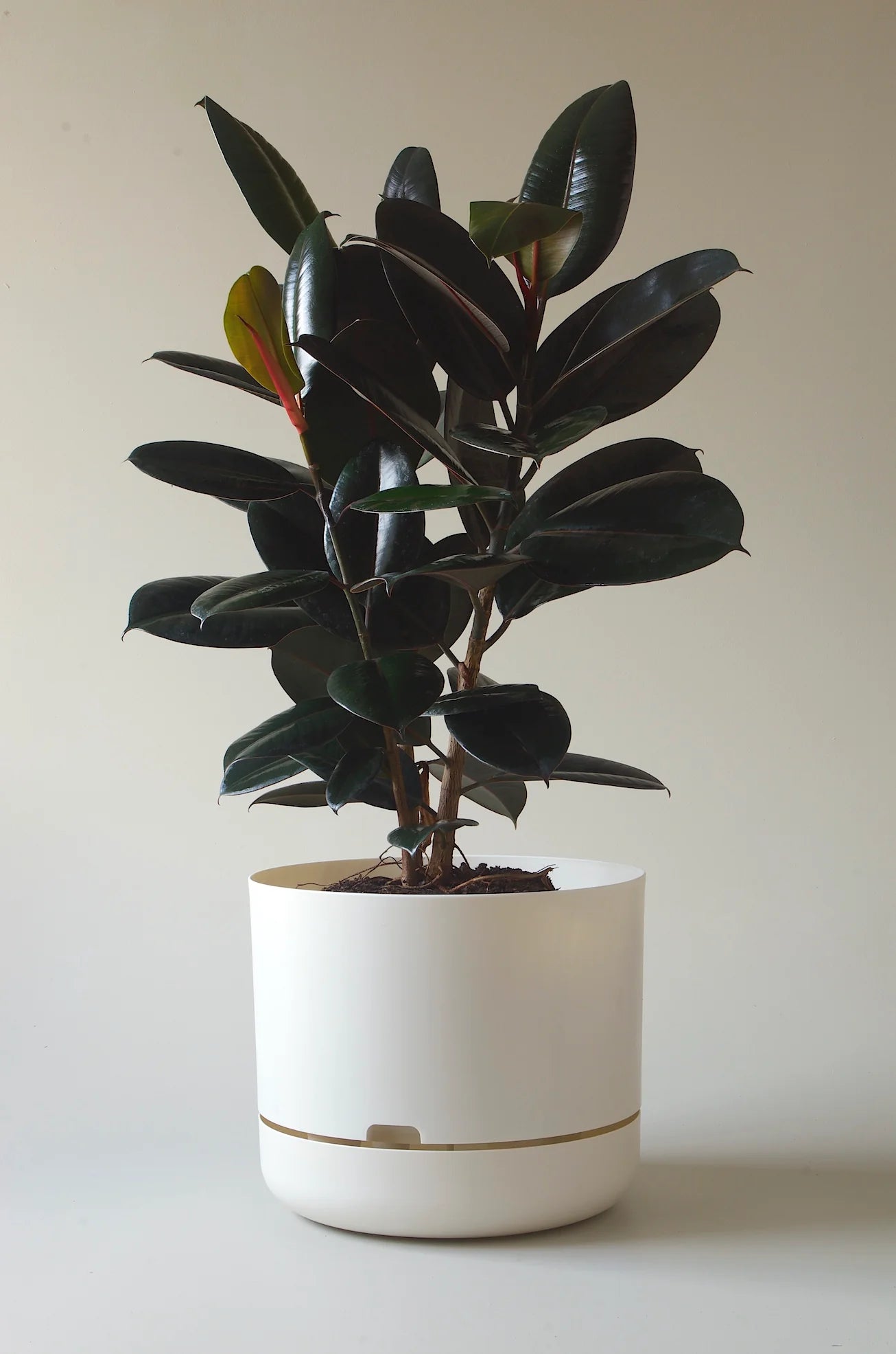 Self-Watering Pot | 375mm - Click & Collect Only
