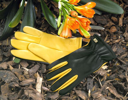 Dry Touch Womens gardening gloves