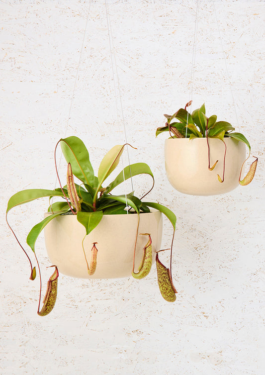 Glazed Earth Hanging Planter