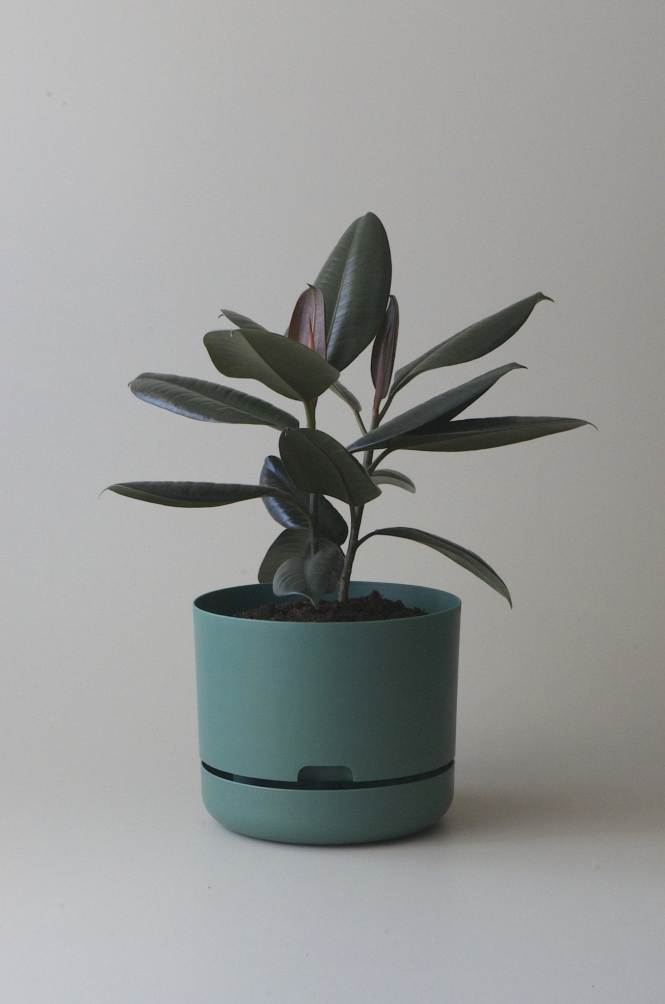 Self-Watering Pot | 300mm - Click & Collect Only