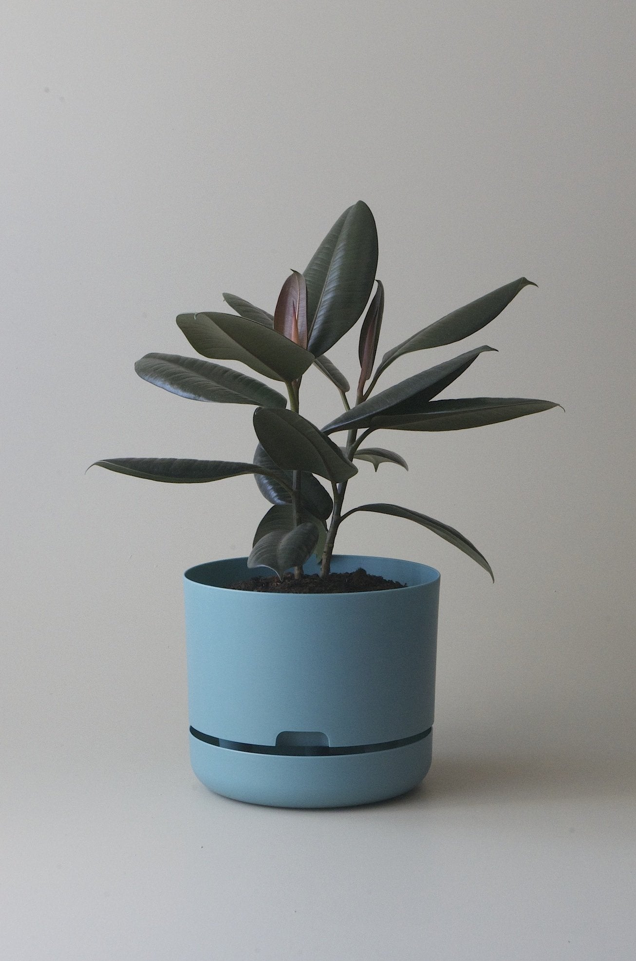 Self-Watering Pot | 300mm - Click & Collect Only