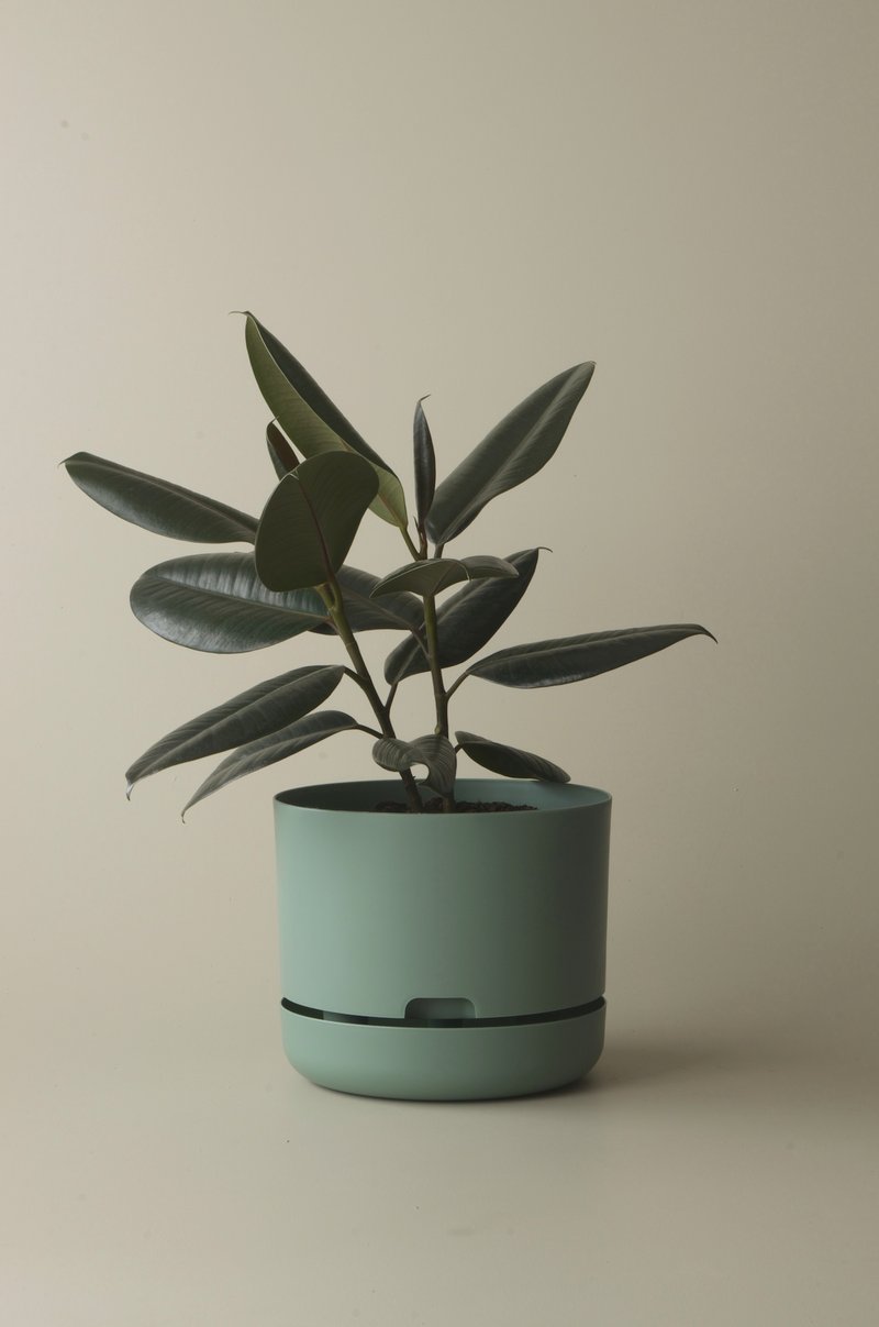 Self-Watering Pot | 300mm - Click & Collect Only