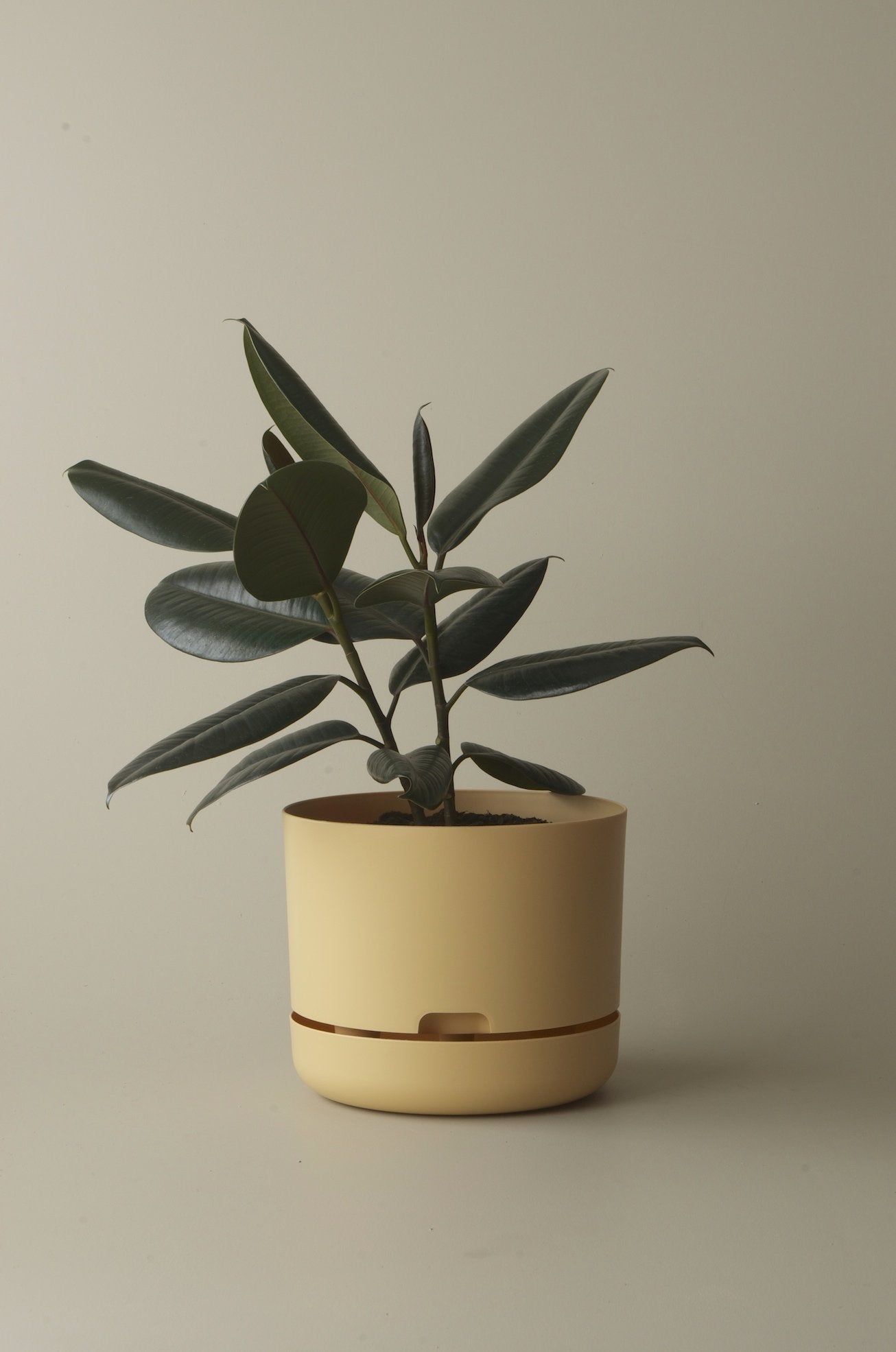 Self-Watering Pot | 300mm - Click & Collect Only