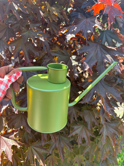 Watering can | 2 litre capacity