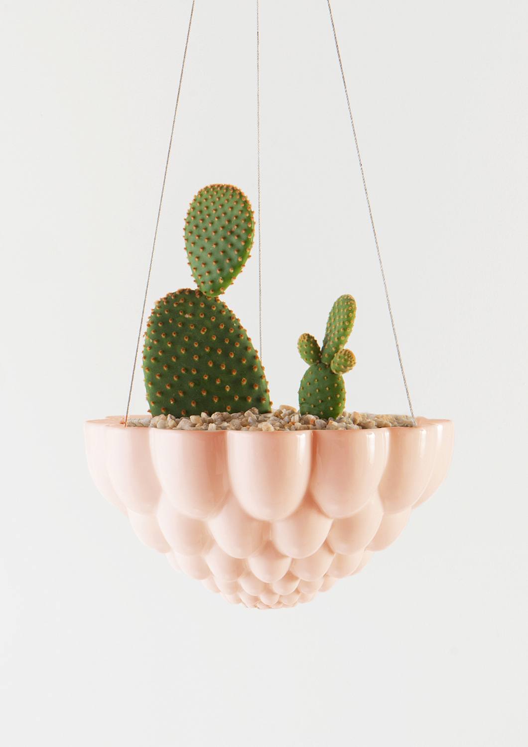 Jelly Mould Hanging Planter