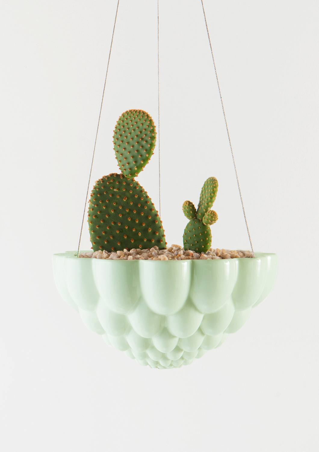 Jelly Mould Hanging Planter