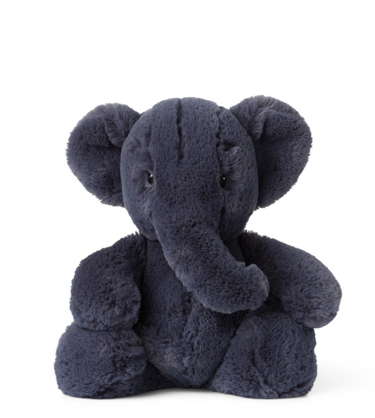 Ebu the Elephant