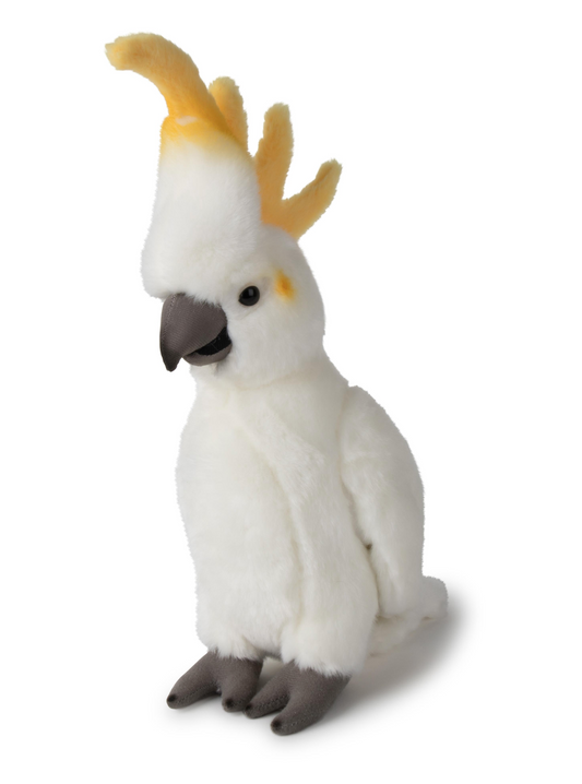 Cockatoo yellow