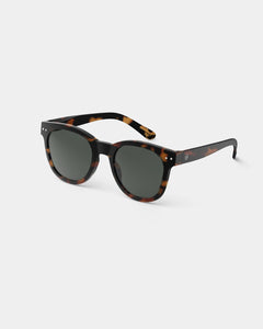Sunglasses | #N