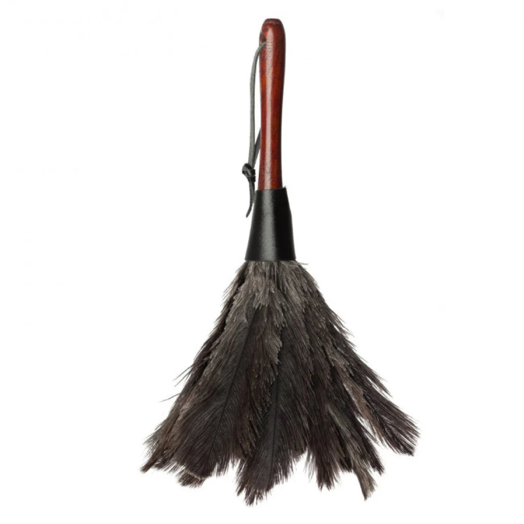 Feather Duster