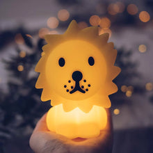 Load image into Gallery viewer, Lion | Bundle of Joy
