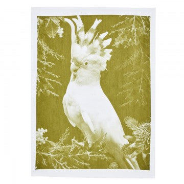 Cotton Tea Towel | Big Major 2 | Khaki