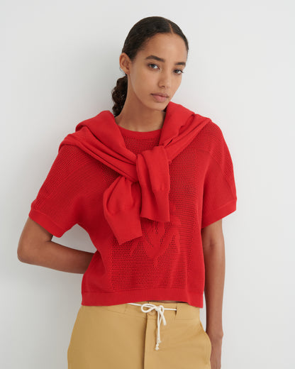 Ariel top