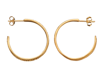 Hoops | Silver or Gold