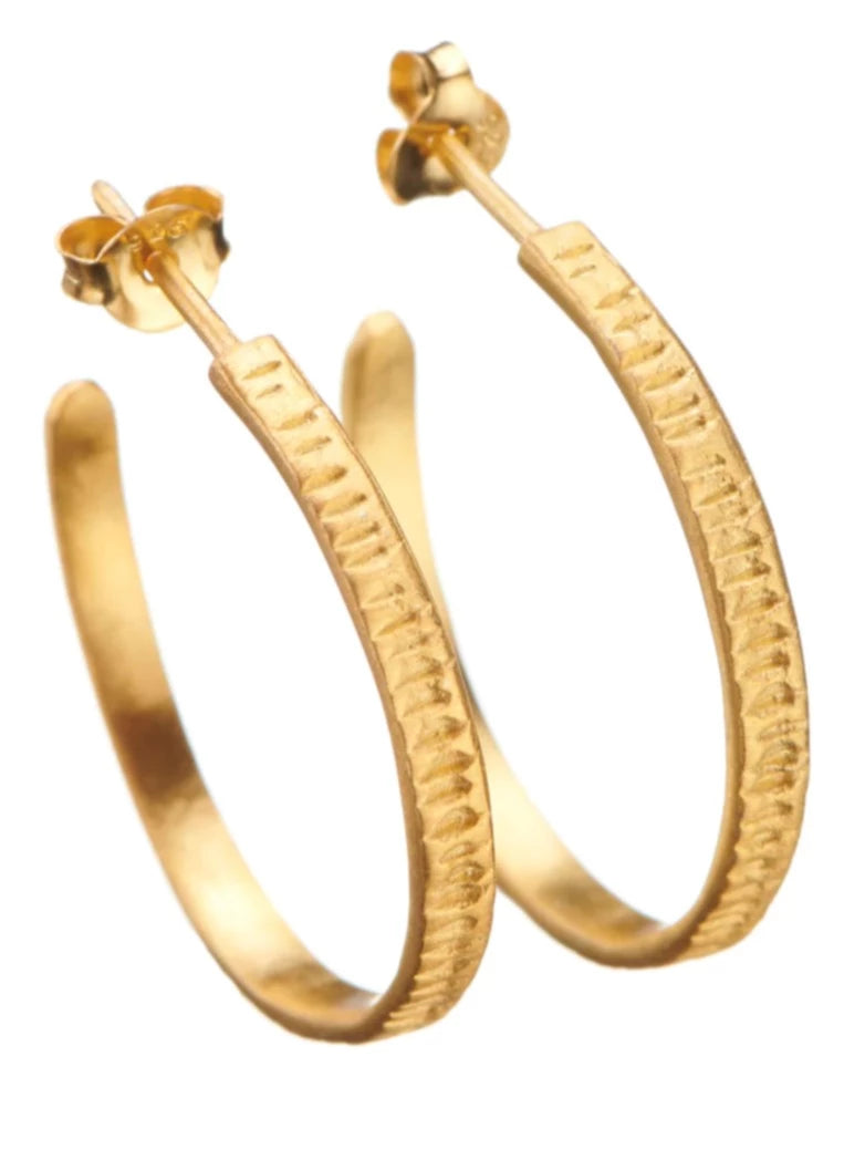 Hoops | Silver or Gold