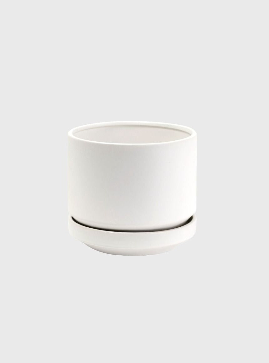 Medium Zurich Planter in White - CLICK & COLLECT ONLY