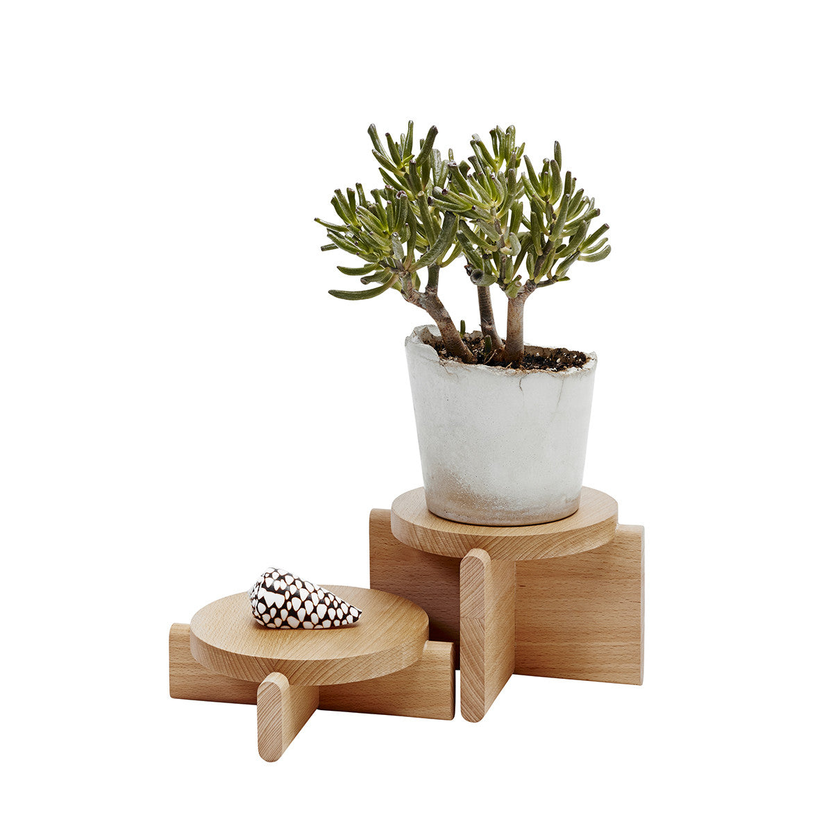 Plant Pedestals Display Stands