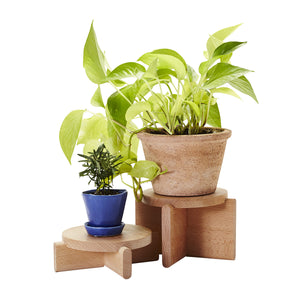 Plant Pedestals Display Stands