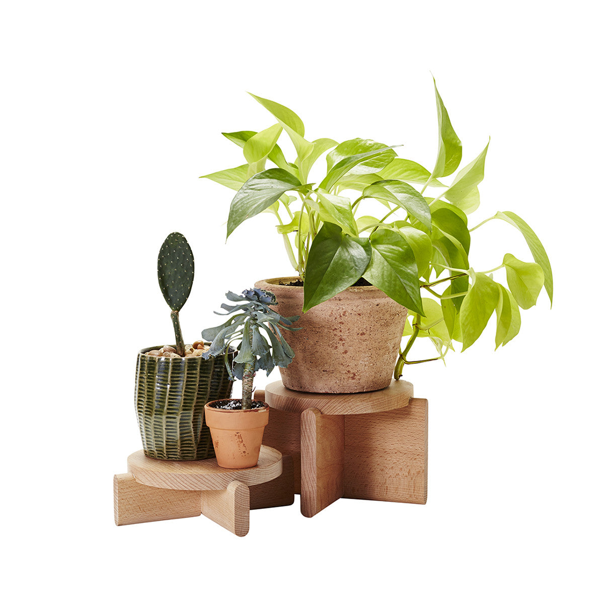 Plant Pedestals Display Stands