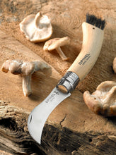 Load image into Gallery viewer, Mushroom Knife
