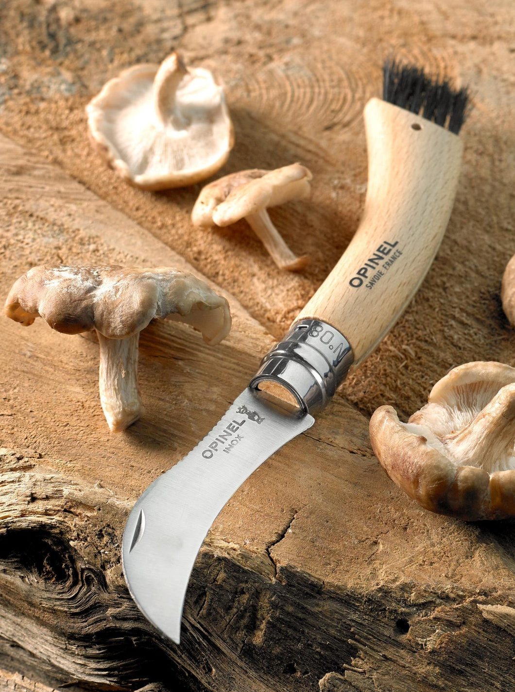 Mushroom Knife