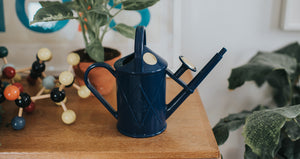 Indoor Plastic Watering Can by Haws
