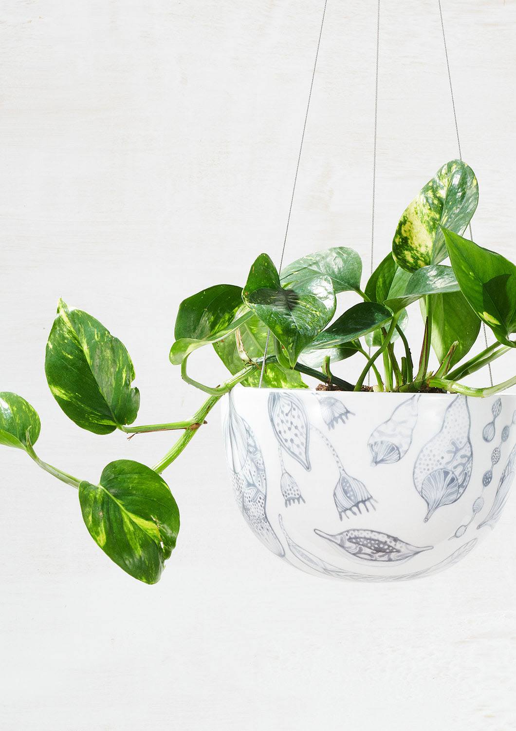 Bush Grey Hanging Planter