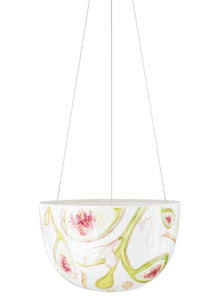 Fig Tree Hanging Planter