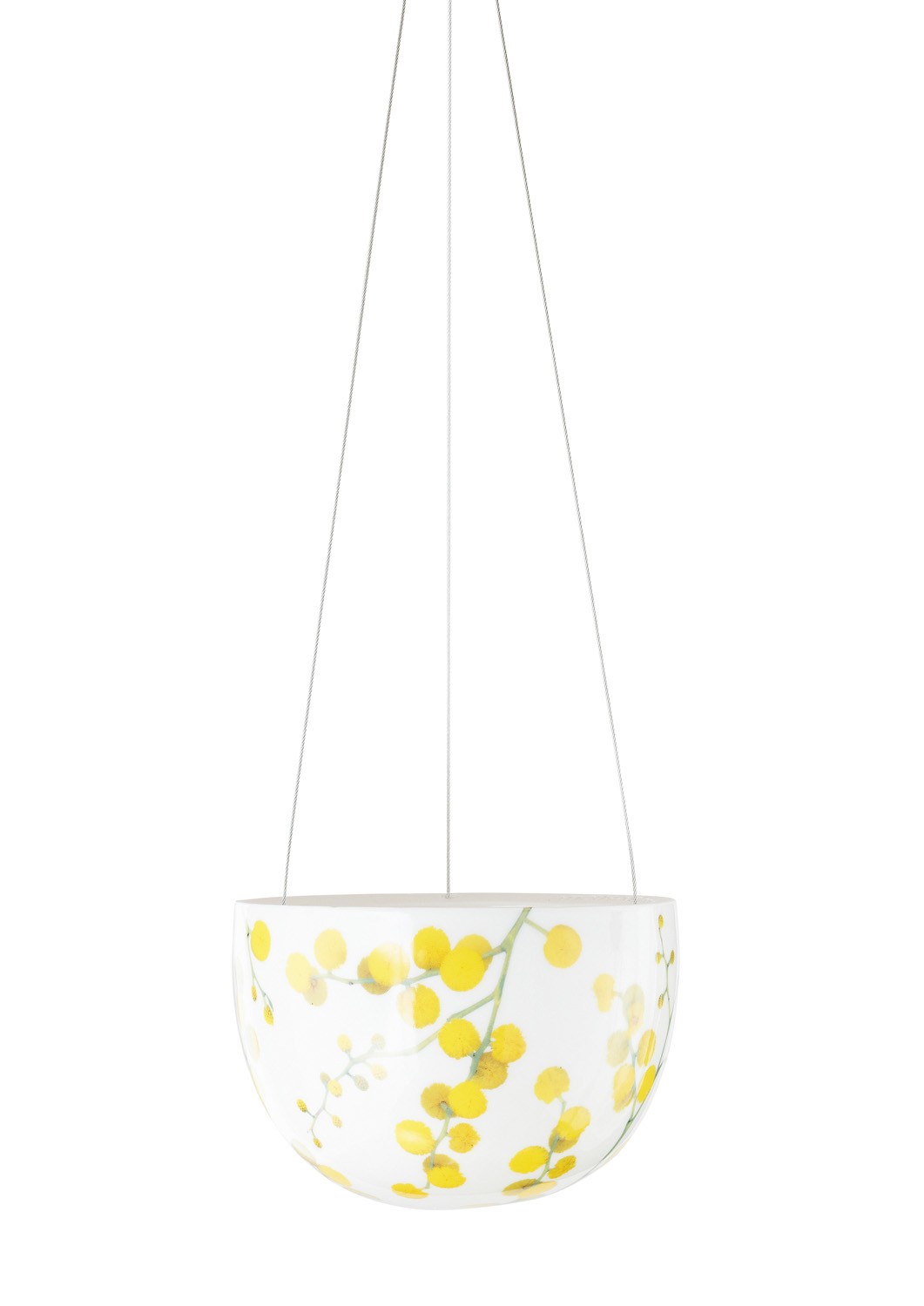 Wattle Blossom Hanging Planter