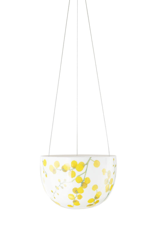 Wattle Blossom Hanging Planter