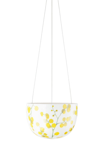 Wattle Blossom Hanging Planter