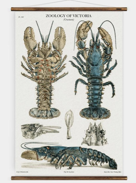 ‘Crustacea’ Wall Chart