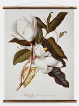 Load image into Gallery viewer, Magnolia II Wall chart
