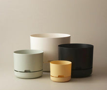Load image into Gallery viewer, Self-Watering Pot | 170mm - Click &amp; Collect Only
